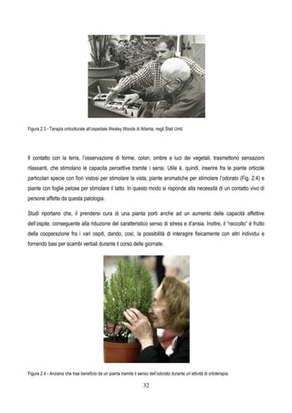 32
Figura 2.3 - Terapia orticolturale all’ospedale Wesley Woods di Atlanta, negli Stati Uniti.
Il contatto con la terra, l’osservazione di forme, colori, ombre e luci dei vegetali, trasmettono sensazioni
rilassanti, che stimolano le capacita percettive tramite i sensi. Utile è, quindi, inserire fra le piante orticole
particolari specie con fiori vistosi per stimolare la vista, piante aromatiche per stimolare l’odorato (Fig. 2.4) e
piante con foglie pelose per stimolare il tatto. In questo modo si risponde alla necessità di un contatto vivo di
persone affette da questa patologia.
Studi riportano che, il prendersi cura di una pianta porti anche ad un aumento delle capacità affettive
dell’ospite, conseguente alla riduzione del caratteristico senso di stress e d’ansia. Inoltre, il “raccolto” è frutto
della cooperazione fra i vari ospiti, dando, così, la possibilità di interagire fisicamente con altri individui e
fornendo basi per scambi verbali durante il corso delle giornate.
Figura 2.4 - Anziana che trae beneficio da un pianta tramite il senso dell’odorato durante un’attività di ortoterapia.
 