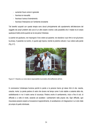 34
- aumenta il buon umore in generale
- favorisce la manualità
- favorisce il senso d’orientamento
- favorisce l’interazione con l’ambiente circostante
Tali benefici acquisiti con questa terapia sono dovuti principalmente allo spostamento dell’attenzione del
soggetto dai propri problemi alla cura di un altro essere vivente e alla possibilità che il malato ha di creare
qualcosa di bello anche quando se ne era perso l’interesse.
Le piante non giudicano, non impongono il loro volere sul paziente, non decidono i suoi ritmi e non gli privano
la privacy. Il paziente è al centro, in quanto egli impone, tramite le pratiche colturali, il suo volere sulle piante
(Fig. 2.7).
Figura 2.7 - Paziente a cui viene data la responsabilità di provvedere all’annaffiamento dell’orto.
In conclusione l’ortoterapia funziona perché le piante e le persone hanno gli stessi ritmi di vita: nascita,
crescita, morte. Le piante parlano di valori che durano nel tempo come il ciclo stabile e costante della vita,
soddisfacendo in noi il nostro senso di sicurezza. Parlano anche di cambiamento, inizio e fine di cicli, di
difficoltà e a volte di morte, aiutando ad accettare i cambiamenti nella propria vita. Ogni difficoltà, ogni
insuccesso possono essere un’occasione di apprendimento, di accettazione e di integrazione in un ciclo vitale
più ampio di quello individuale.
 