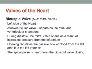 Valves of the Heart
Bicuspid Valve (Aka: Mitral Valve)
• Left side of the Heart
• Atrioventricular valve – separates the atria and
ventrriculuar chambers
• During diastole, the mitral valve opens as a result of
increased pressure from the left atrium
• Opening facilitates the passive flow of blood from the left
atria into the left ventricle
• The apical pulse is heard from the bicuspid valve closing
 