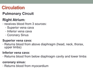 Circulation
Pulmonary Circuit
Right Atrium:
• receives blood from 3 sources:
• Superior vena cava
• Inferior vena cava
• Coronary Sinus
Superior vena cava:
• Returns blood from above diaphragm (head, neck, thorax,
upper limbs)
Inferior vena cava:
• Returns blood from below diaphragm cavity and lower limbs
coronary sinus:
• Returns blood from myocardium
 