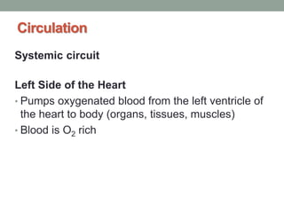 Circulation
Systemic circuit
Left Side of the Heart
• Pumps oxygenated blood from the left ventricle of
the heart to body (organs, tissues, muscles)
• Blood is O2 rich
 