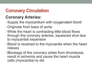 Coronary Circulation
Coronary Arteries:
• Supply the myocardium with oxygenated blood
• Originate from base of aorta
• While the heart is contracting little blood flows
through the coronary arteries, squeezed shut due
to myocardial expansion
• Blood is received to the myocardia when the heart
relaxes
• Blockage of the coronary arties from thrombosis
result in ischemia and cause the heart muscle
cells (myocardia) to die
 