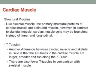 Cardiac Muscle
Structural Proteins:
• Like skeletal muscle, the primary structural proteins of
cardiac muscle are actin and myosin, however, in contrast
to skeletal muscle, cardiac muscle cells may be branched
instead of linear and longitudinal.
• T-Tubules
• Another difference between cardiac muscle and skeletal
muscle is that the T-tubules in the cardiac muscle are
larger, broader and run along the Z-Discs.
• There are also fewer T-tubules in comparison with
skeletal muscle
 