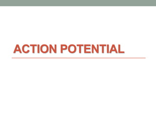 ACTION POTENTIAL
 