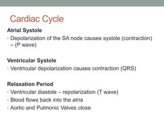 Cardiac Cycle
Atrial Systole
• Depolarization of the SA node causes systole (contraction)
– (P wave)
Ventricular Systole
• Ventricular depolarization causes contraction (QRS)
Relaxation Period
• Ventricular diastole – repolarization (T wave)
• Blood flows back into the atria
• Aortic and Pulmonic Valves close
 
