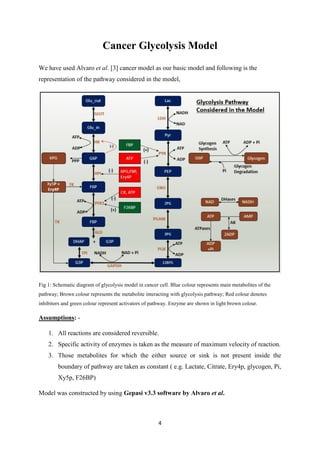 4
Cancer Glycolysis Model
We have used Alvaro et al. [3] cancer model as our basic model and following is the
representation of the pathway considered in the model,
Fig 1: Schematic diagram of glycolysis model in cancer cell. Blue colour represents main metabolites of the
pathway; Brown colour represents the metabolite interacting with glycolysis pathway; Red colour denotes
inhibitors and green colour represent activators of pathway. Enzyme are shown in light brown colour.
Assumptions: -
1. All reactions are considered reversible.
2. Specific activity of enzymes is taken as the measure of maximum velocity of reaction.
3. Those metabolites for which the either source or sink is not present inside the
boundary of pathway are taken as constant ( e.g. Lactate, Citrate, Ery4p, glycogen, Pi,
Xy5p, F26BP)
Model was constructed by using Gepasi v3.3 software by Alvaro et al.
 