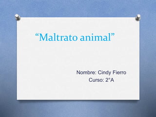 “Maltrato animal” 
Nombre: Cindy Fierro 
Curso: 2°A 
 