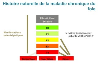 F4
F1
F0
Fibrotic Liver
Disease
F2
F3
Hemorrhage Liver failure Cancer
Histoire naturelle de la maladie chronique du
foie
 Même évolution chez
patients VHC et VHB ?
Manifestations
extra-hépatiques
 