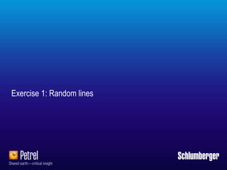 Schlumberger-Private
Exercise 1: Random lines
 