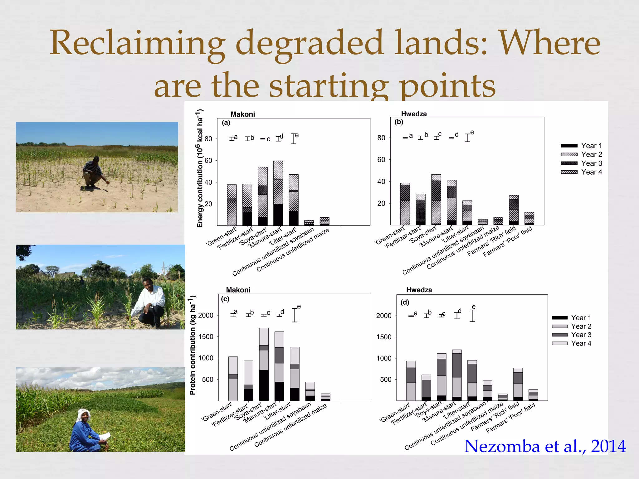 Reclaiming degraded lands: Where
are the starting points
48
Figure 2.49
Makoni
Energycontribution(106kcalha-1)
20
40
60
80
Year 1
Year 2
Year 3
Year 4
20
40
60
80
Hwedza
Makoni
Proteincontribution(kgha-1)
500
1000
1500
2000 Year 1
Year 2
Year 3
Year 4
Hwedza
500
1000
1500
2000
'Green-start'
'Fertilizer-start'
'Manure-start'
'Soya-start'
'Litter-start'
Farmers' 'Rich' field
Farmers' 'Poor' field
Continuous unfertilized maize
Continuous unfertilized soyabean
'Green-start'
'Fertilizer-start'
'Soya-start'
'Manure-start'
'Litter-start'
Continuous unfertilized soyabean
Continuous unfertilized maize
'Green-start'
'Fertilizer-start'
'Manure-start'
'Soya-start'
'Litter-start'
Continuous unfertilized maize
Continuous unfertilized soyabean
Farmers' 'Rich' field
Farmers' 'Poor' field
'Green-start'
'Fertilizer-start'
'Soya-start'
'Manure-start'
'Litter-start'
Continuous unfertilized soyabean
Continuous unfertilized maize
(a) (b)
(c)
(d)
a b c d
e
a
a a
b
b bc
c
c
d
d d
ee
e
50
51
52
Nezomba et al., 2014
 