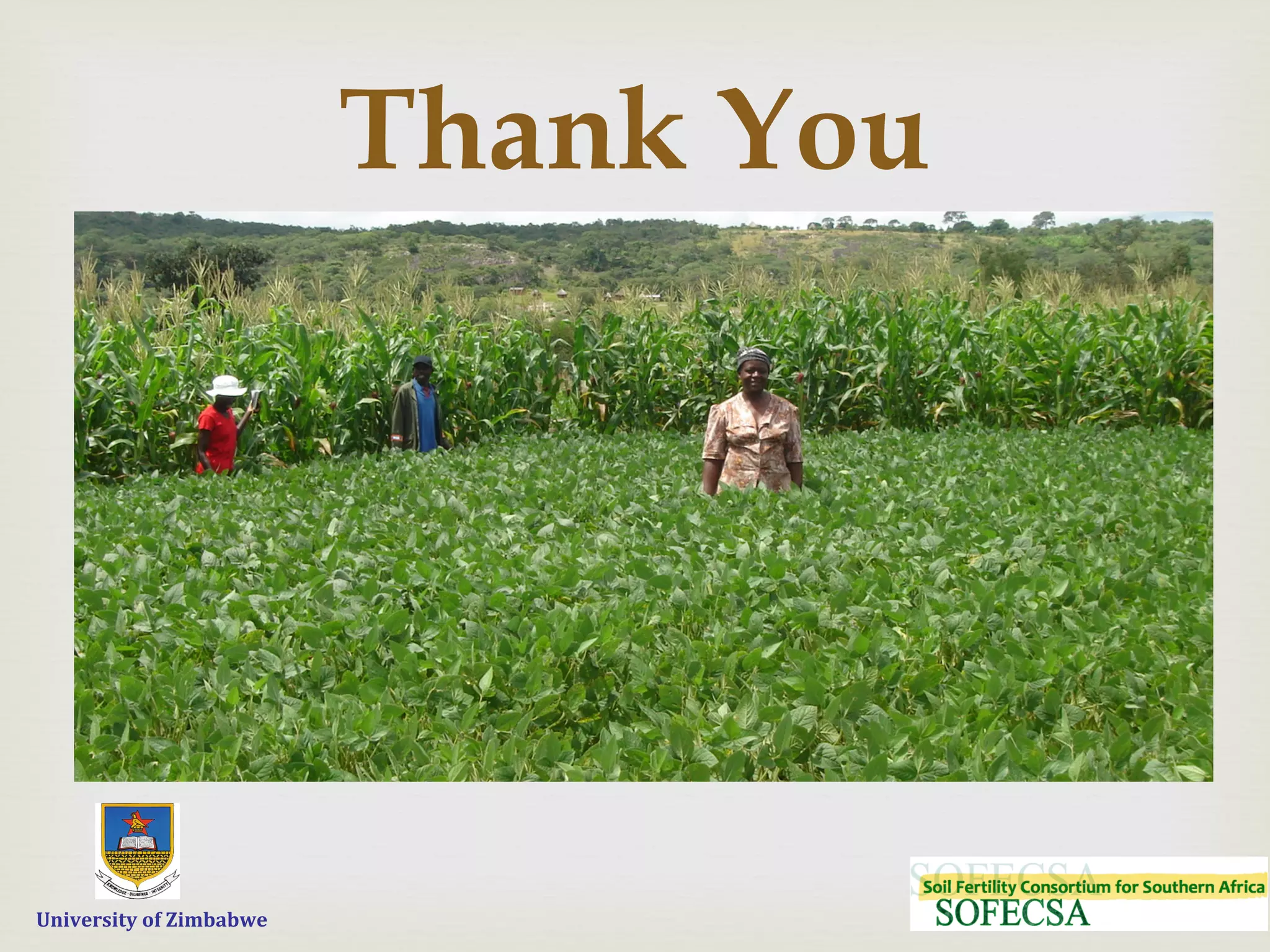  	
  	
  	
  	
  University	
  of	
  Zimbabwe
–
Thank You
 