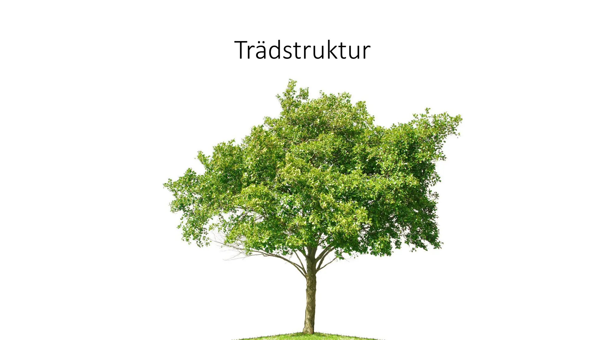 Trädstruktur
 