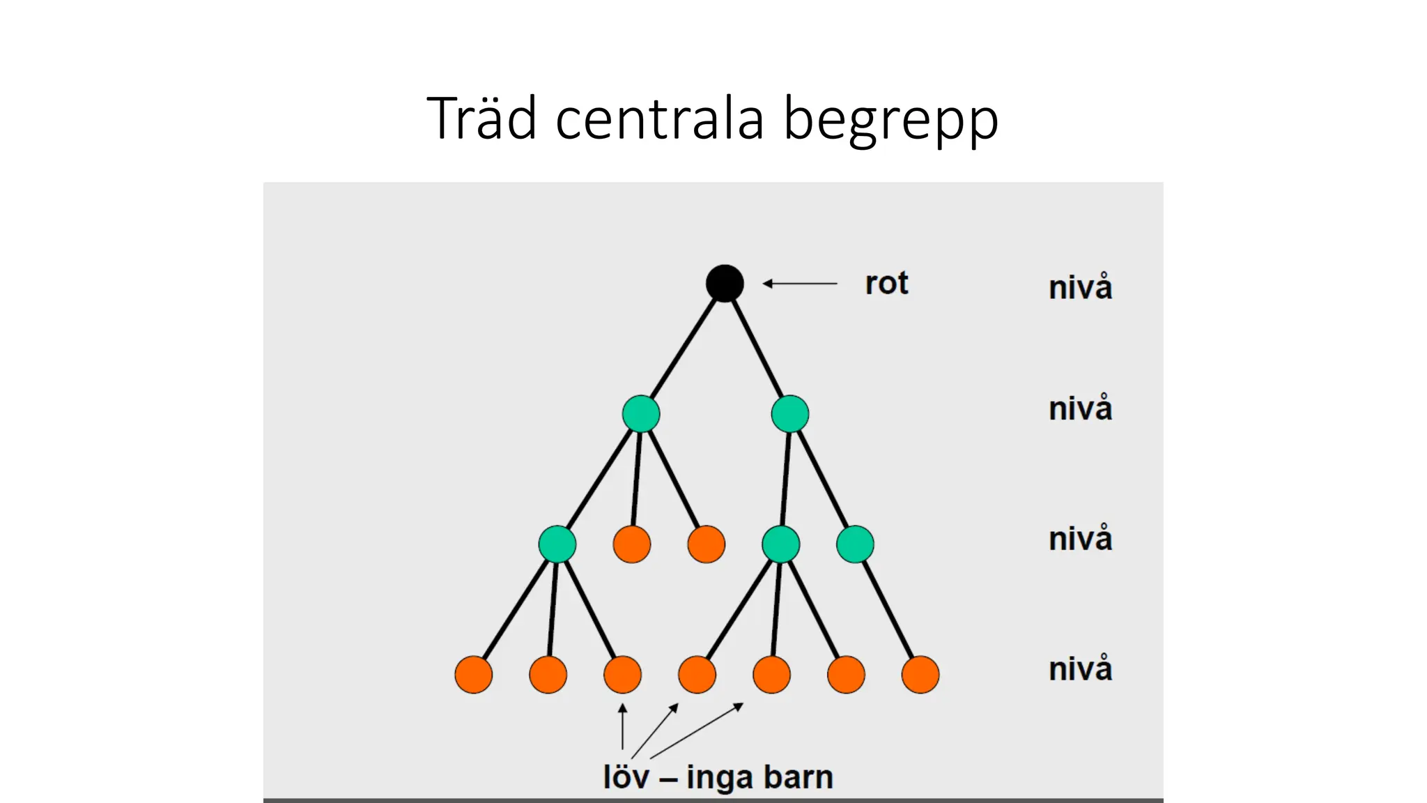 Träd centrala begrepp
 