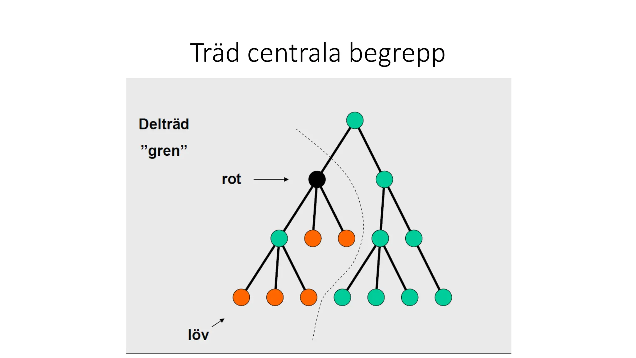 Träd centrala begrepp
 