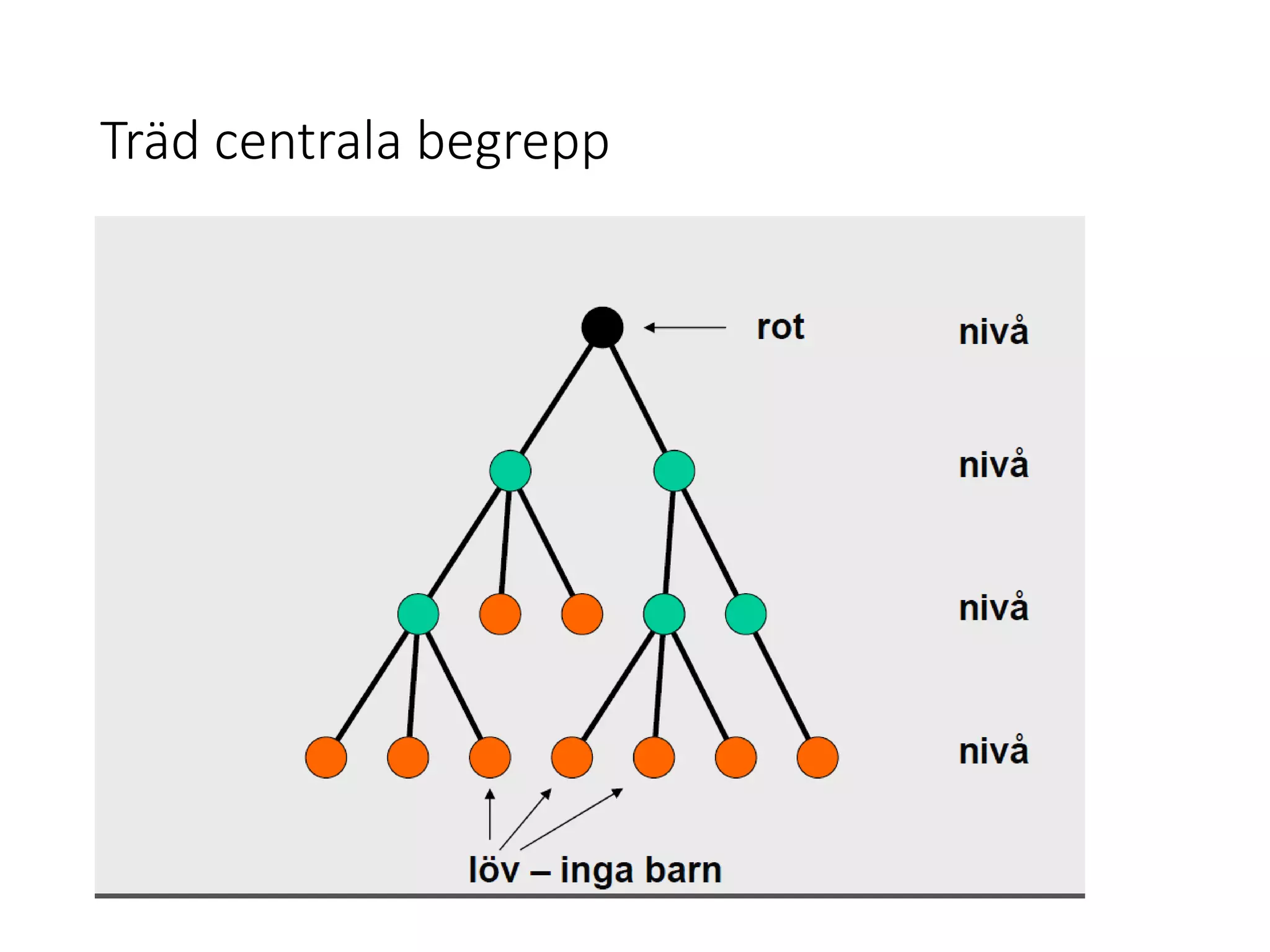 Träd centrala begrepp
 