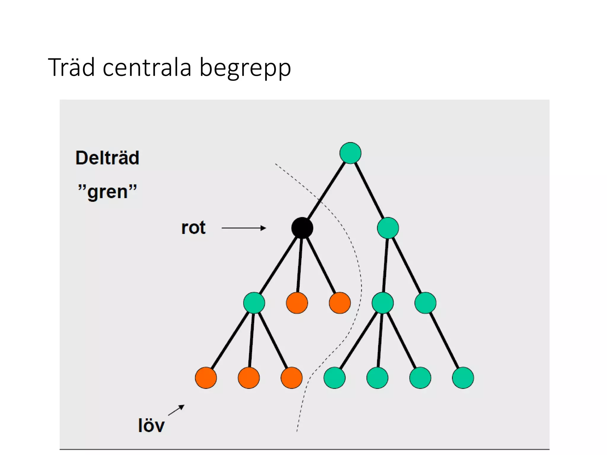 Träd centrala begrepp
 