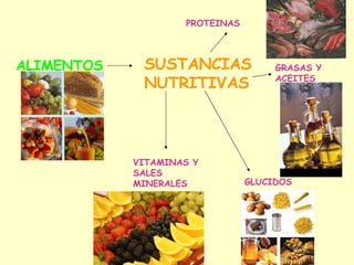 ALIMENTOS SUSTANCIAS NUTRITIVAS PROTEINAS GRASAS Y ACEITES GLUCIDOS VITAMINAS Y SALES MINERALES 