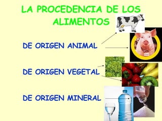 LA PROCEDENCIA DE LOS ALIMENTOS DE ORIGEN ANIMAL DE ORIGEN VEGETAL DE ORIGEN MINERAL