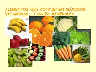 ALIMENTOS QUE CONTIENEN GLÚCIDOS, VITAMINAS,  Y SALES MINERALES 