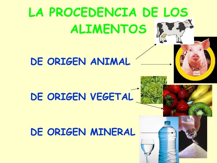 Resultado de imagen de alimentos origen