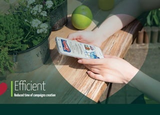 EfficientReducedtimeofcampaignscreation
 