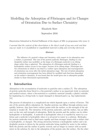 Modelling the Adsorption of Fibrinogen and its Changes
of Orientation Due to Surface Chemistry
Elizabeth Mott
September 2016
Dissertation Submitted in Partial Fulﬁlment of the degree of MSc in programme title (year 1)
I warrant that the content of this dissertation is the direct result of my own work and that
any use made in it of published or unpublished material is fully and correctly referenced.
Abstract
The inﬂuence of a protein’s shape and chemistry, with respect to its adsorption onto
a surface, is presented. The case of the protein molecule, ﬁbrinogen, binding to a hy-
drophobic surface was modelled, as the shape of a ﬁbrinogen molecule is an oblong
shape rather than a spherical. The adsorption of a ﬁbrinogen molecule binding to a
hydrophobic surface occurs in two stages, because of its oblong shape. Fibrinogen has
two orientations in which it can bind to a surface upon adsorption and rearrangements
of orientation can occur after the initial adsorption stage. The rate of initial adsorption
and orientation rearrangement has been deﬁned by modiﬁed tanh functions dependent
on the surface’s chemistry. It was found that the model gives rise to adsorption proﬁles
similar to those determined experimentally.
1 Introduction
Adsorption is the accumulation of molecules or particles onto a surface [7]. The adsorption
of protein molecules from blood to a bio-material’s surface is an important study in material,
and medical science, where a bio-material is a synthetic material (usually a plastic) suitable
for implanting in a living body to repair damaged or diseased parts e.g. hip replacements
[11].
The process of adsorption is a complicated one which depends upon a variety of factors. The
size of the protein aﬀects adsorption [4]. Smaller proteins can diﬀuse through solution more
quickly; however, they have fewer contact points with the surface, so the strength of the ad-
sorption is weaker [9]. The chemistry of the protein molecules, and the surface, has an inﬂu-
ence on the rate and strength of adsorption. Both the protein and the surface can be either
hydrophobic or hydrophilic. A molecule is hydrophobic when it is repelled by water in a so-
lution and a molecule is hydrophilic when it is attracted to water in a solution. Hydropho-
bic protein molecules tend to bind more rapidly and form stronger bonds with a surface that
is hydrophobic, or charged. The strong attraction between a hydrophobic surface and a hy-
drophobic protein is driven by the protein molecules being repelled by water to the surface.
Both the protein and the surface is partly covered, and no longer in contact with as much
water in the solution [5], due to the adsorption of the protein onto the surface. On the other
1
 