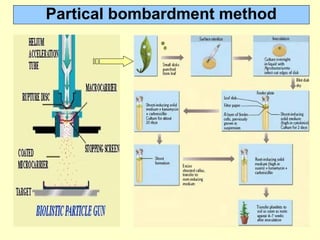 Partical bombardment method
 