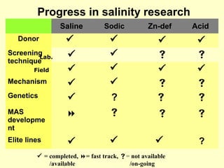 Progress in salinity research
Saline Sodic Zn-def Acid
Donor    
Screening
technique
   
   
Mechanism    
Genetics  ?  
MAS
developme
nt
   
Elite lines    ?
 = completed, = fast track, = not available
/available /on-going
Lab.
Field
 