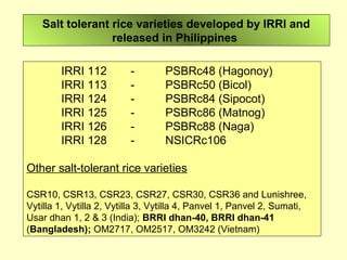 Salt tolerant rice varieties developed by IRRI and
released in Philippines
IRRI 112 - PSBRc48 (Hagonoy)
IRRI 113 - PSBRc50 (Bicol)
IRRI 124 - PSBRc84 (Sipocot)
IRRI 125 - PSBRc86 (Matnog)
IRRI 126 - PSBRc88 (Naga)
IRRI 128 - NSICRc106
Other salt-tolerant rice varieties
CSR10, CSR13, CSR23, CSR27, CSR30, CSR36 and Lunishree,
Vytilla 1, Vytilla 2, Vytilla 3, Vytilla 4, Panvel 1, Panvel 2, Sumati,
Usar dhan 1, 2 & 3 (India); BRRI dhan-40, BRRI dhan-41
(Bangladesh); OM2717, OM2517, OM3242 (Vietnam)
 
