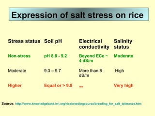 Expression of salt stress on rice
Stress status Soil pH Electrical
conductivity
Salinity
status
Non-stress pH 8.8 - 9.2 Beyond ECe ~
4 dS/m
Moderate
Moderate 9.3 – 9.7 More than 8
dS/m
High
Higher Equal or > 9.8 -- Very high
Source: http://www.knowledgebank.irri.org/ricebreedingcourse/breeding_for_salt_tolerance.htm
 