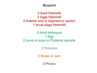 Blueprint
3 Adult Helminth
2 Eggs Helminth
2 Anterior end or segment or section
1 larval stage Helminth
2 Adult Arthropod
1 Egg
2 Larva or pupa or Posterior spiracle
2 Protozoa
3 Boxes or Jars
2 Photos
 