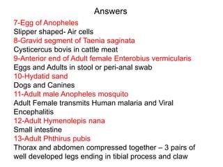 Answers
7-Egg of Anopheles
Slipper shaped- Air cells
8-Gravid segment of Taenia saginata
Cysticercus bovis in cattle meat
9-Anterior end of Adult female Enterobius vermicularis
Eggs and Adults in stool or peri-anal swab
10-Hydatid sand
Dogs and Canines
11-Adult male Anopheles mosquito
Adult Female transmits Human malaria and Viral
Encephalitis
12-Adult Hymenolepis nana
Small intestine
13-Adult Phthirus pubis
Thorax and abdomen compressed together – 3 pairs of
well developed legs ending in tibial process and claw
 