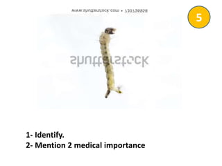 1- Identify.
2- Mention 2 medical importance
5
 