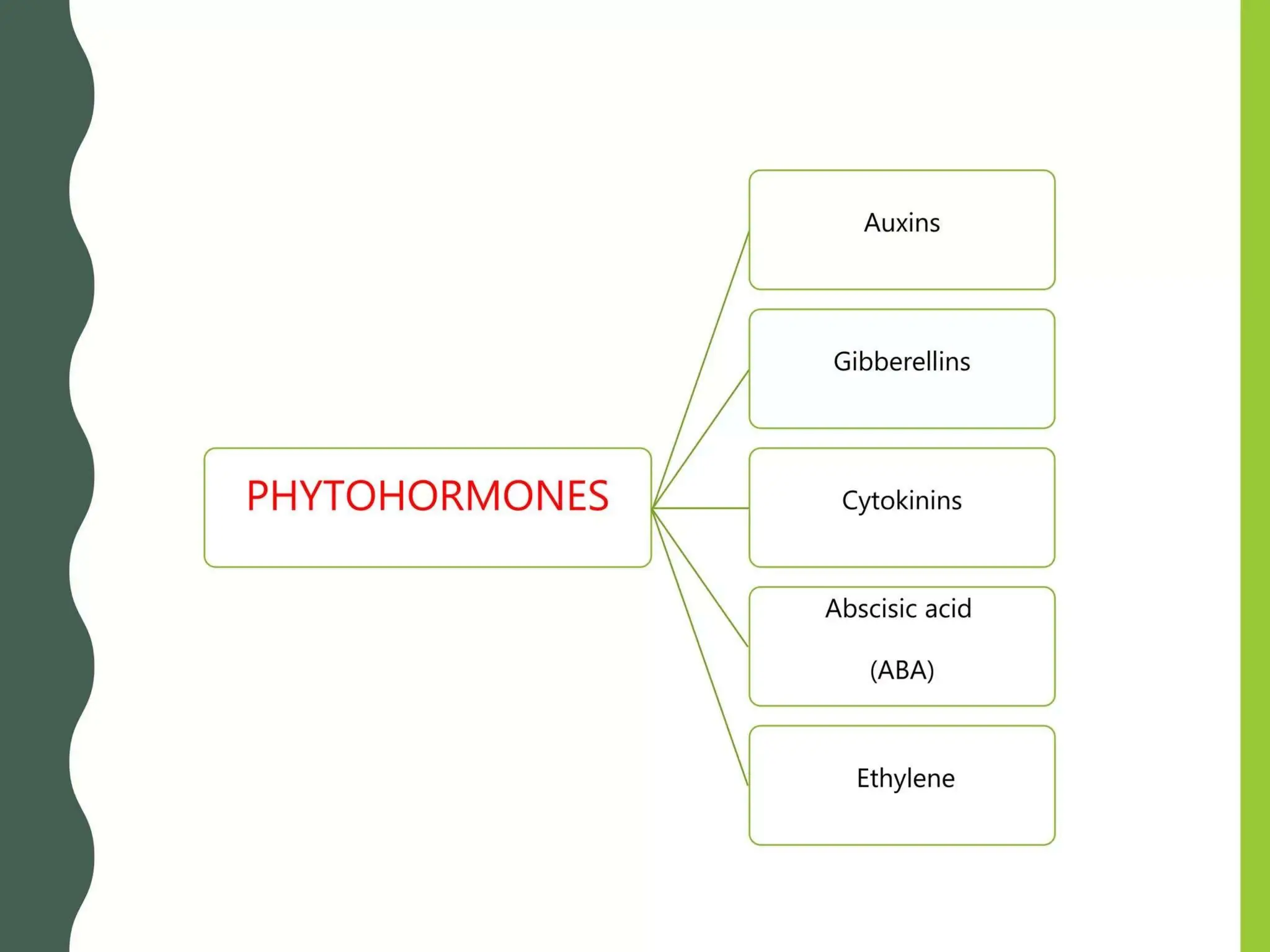plant growth and development by Gulshan Athbhaiya.pptx