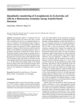 APPLIED MICROBIAL AND CELL PHYSIOLOGY
Quantitative monitoring of 2-oxoglutarate in Escherichia coli
cells by a fluorescence resonance energy transfer-based
biosensor
Chang Zhang & Zi-Han Wei & Bang-Ce Ye
Received: 24 April 2013 /Revised: 7 June 2013 /Accepted: 10 July 2013 /Published online: 28 July 2013
#
Abstract 2-Oxoglutarate (2OG) is a metabolite from the
highly conserved Krebs cycle and not only plays a critical
role in metabolism but also acts as a signaling molecule in a
variety of organisms. Environmental inorganic nitrogen is
reduced to ammonium by microorganisms, whose metabolic
pathways involve the conversion of 2OG to glutamate and
glutamine. Tracking of 2OG in real time would be useful for
studies on cell metabolism and signal transduction. Here, we
developed a genetically encoded 2OG biosensor based on
fluorescent resonance energy transfer by inserting the func-
tional 2OG-binding domain GAF of the NifA protein between
the fluorescence resonance energy transfer (FRET) pair YFP/
CFP. The dynamic range of the sensors is 100 μM to 10 mM,
which appeared identical to the physiological range observed
in E. coli. We optimized the peptide lengths of the binding
domain to obtain a sensor with a maximal ratio change of 0.95
upon 2OG binding and demonstrated the feasibility of this
sensor for the visualization of metabolites both in vitro and
in vivo.
Keywords Genetically encoded biosensor . Fluorescent
protein . FRET . 2-Oxoglutarate . In vivo imaging
Introduction
2-Oxoglutarate (2OG) is derived from the Krebs cycle (Zhao
et al. 2010), which is a highly conserved central metabolic
pathway, and is at the interface between carbon and nitrogen
metabolism. The central carbon intermediate 2OG also serves
as the sole carbon skeleton for the assimilation of nitrogen,
and it participates in the generation of glutamate through the
glutamine synthetase/glutamate synthase (GS/GOGAT) sys-
tem. GS assimilates ammonia by converting glutamate to
glutamine. GOGAT then transfers the amido group of gluta-
mine to 2OG to form two glutamates. Other nitrogen-
containing compounds derive nitrogen from glutamate and
glutamine by secondary amino transfers. In a wide range of
Bacteria and Archaea, 2OG, which is the donor for ammonia
assimilation, signals nitrogen deficiency, whereas glutamine,
which is the fully aminated product, often signals nitrogen
sufficiency. From this perspective, in addition to its impor-
tance as a metabolite, 2OG also transmits critical signals in
metabolic activities (Martinez-Argudo et al. 2005). In the
cytosol of living cells, the signal transduction proteins GlnB
and GlnK, which belong to the PII superfamily (Leigh and
Dodsworth 2007), sense cellular 2OG or glutamine as an
indicator of the nitrogen state. High levels of cellular 2OG,
an indicator of nitrogen deficiency, inhibit the GlnB signal
system. The physiological 2OG concentrations in Escherichia
coli have been estimated to be in the 0.1–0.9 mM range under
nitrogen-sufficient conditions (Senior 1975). The convention-
al 2OG quantification method requires the use of cell extracts
and is thus incompatible with studying dynamics in intact
individual cells; furthermore, it can only provide the averaged
2OG pool concentration of many cells.
Recently, there have been efforts to directly measure and
visualize metabolites in cell by using genetically encoded
fluorescence resonance energy transfer (FRET)-based biosen-
sors, which can be targeted to subcellular compartments to
specifically analyze concentration changes within a specific
compartment of an intact live cell (Fehr et al. 2005). A series
of genetically encoded nanosensors has been constructed that
utilizes FRET technology for noninvasive and temporally and
spatially resolved monitoring of signal molecules in vivo. The
genetically encoded FRET biosensors consist of a recognition
C. Zhang :Z.<H. Wei :B.<C. Ye (*)
Laboratory of Biosystems and Microanalysis, State Key Laboratory
of Bioreactor Engineering, East China University of Science and
Technology, Shanghai 200237, China
e-mail: bcye@ecust.edu.cn
Appl Microbiol Biotechnol (2013) 97:8307–8316
DOI 10.1007/s00253-013-5121-5
Springer-Verlag Berlin Heidelberg 2013
 