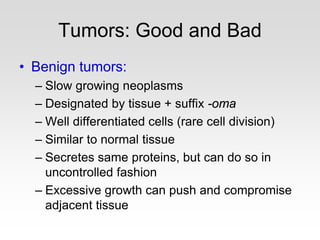 Tumors: Good and Bad
• Benign tumors:
– Slow growing neoplasms
– Designated by tissue + suffix -oma
– Well differentiated cells (rare cell division)
– Similar to normal tissue
– Secretes same proteins, but can do so in
uncontrolled fashion
– Excessive growth can push and compromise
adjacent tissue
 