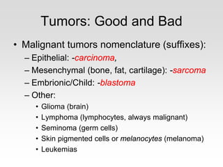 Tumors: Good and Bad
• Malignant tumors nomenclature (suffixes):
– Epithelial: -carcinoma,
– Mesenchymal (bone, fat, cartilage): -sarcoma
– Embrionic/Child: -blastoma
– Other:
• Glioma (brain)
• Lymphoma (lymphocytes, always malignant)
• Seminoma (germ cells)
• Skin pigmented cells or melanocytes (melanoma)
• Leukemias
 