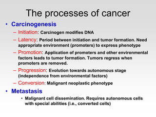 The processes of cancer
• Carcinogenesis
– Initiation: Carcinogen modifies DNA
– Latency: Period between initiation and tumor formation. Need
appropriate environment (promoters) to express phenotype
– Promotion: Application of promoters and other environmental
factors leads to tumor formation. Tumors regress when
promoters are removed.
– Progression: Evolution towards autonomous stage
(independence from environmental factors)
– Conversion: Malignant neoplastic phenotype
• Metastasis
• Malignant cell dissemination. Requires autonomous cells
with special abilities (i.e., converted cells)
 