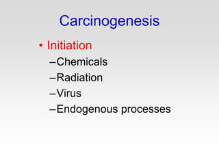 Carcinogenesis
• Initiation
–Chemicals
–Radiation
–Virus
–Endogenous processes
 