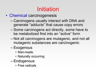 Initiation
• Chemical carcinogenesis
– Carcinogens usually interact with DNA and
generate “adducts” that cause copy errors
– Some carcinogens act directly, some have to
be metabolized first into an “active” form
– Not all carcinogens are mutagenic, and not all
mutagenic substances are carcinogenic
– Exogenous
• Man-made
• Naturally occurring
– Endogenous
• Free radicals
 
