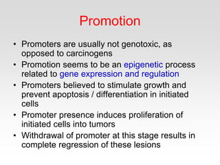 Promotion
• Promoters are usually not genotoxic, as
opposed to carcinogens
• Promotion seems to be an epigenetic process
related to gene expression and regulation
• Promoters believed to stimulate growth and
prevent apoptosis / differentiation in initiated
cells
• Promoter presence induces proliferation of
initiated cells into tumors
• Withdrawal of promoter at this stage results in
complete regression of these lesions
 