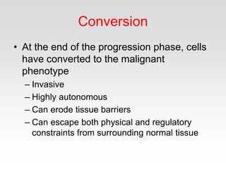 Conversion
• At the end of the progression phase, cells
have converted to the malignant
phenotype
– Invasive
– Highly autonomous
– Can erode tissue barriers
– Can escape both physical and regulatory
constraints from surrounding normal tissue
 