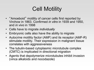 Cell Motility
• “Amoeboid” motility of cancer cells first reported by
Virchow in 1863. Confirmed in vitro in 1939 and 1950,
and in vivo in 1998
• Cells have to migrate individually
• Embryonic cells also have the ability to migrate
• Autocrine motility factor (AMF) and its receptor (AMF-R)
stimulate motility. Their expression in malignant tissue
correlates with aggressiveness
• The tubulin-based cytoplasmic microtubule complex
(CMTC) is implicated in directional migration
• Agents that depolymerize microtubules inhibit invasion
(vinca alkaloids and nocodazole)
 