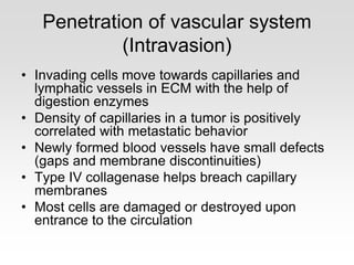 Penetration of vascular system
(Intravasion)
• Invading cells move towards capillaries and
lymphatic vessels in ECM with the help of
digestion enzymes
• Density of capillaries in a tumor is positively
correlated with metastatic behavior
• Newly formed blood vessels have small defects
(gaps and membrane discontinuities)
• Type IV collagenase helps breach capillary
membranes
• Most cells are damaged or destroyed upon
entrance to the circulation
 