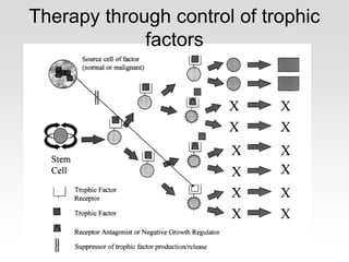 Therapy through control of trophic
factors
 