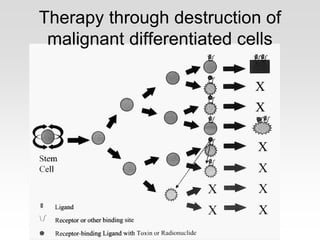 Therapy through destruction of
malignant differentiated cells
 