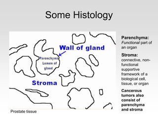 Some Histology
Parenchyma:
Functional part of
an organ
Stroma:
connective, non-
functional
supportive
framework of a
biological cell,
tissue, or organ
Cancerous
tumors also
consist of
parenchyma
and stromaProstate tissue
 