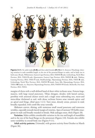 Protibiae 2075-G-3-layout | PDF