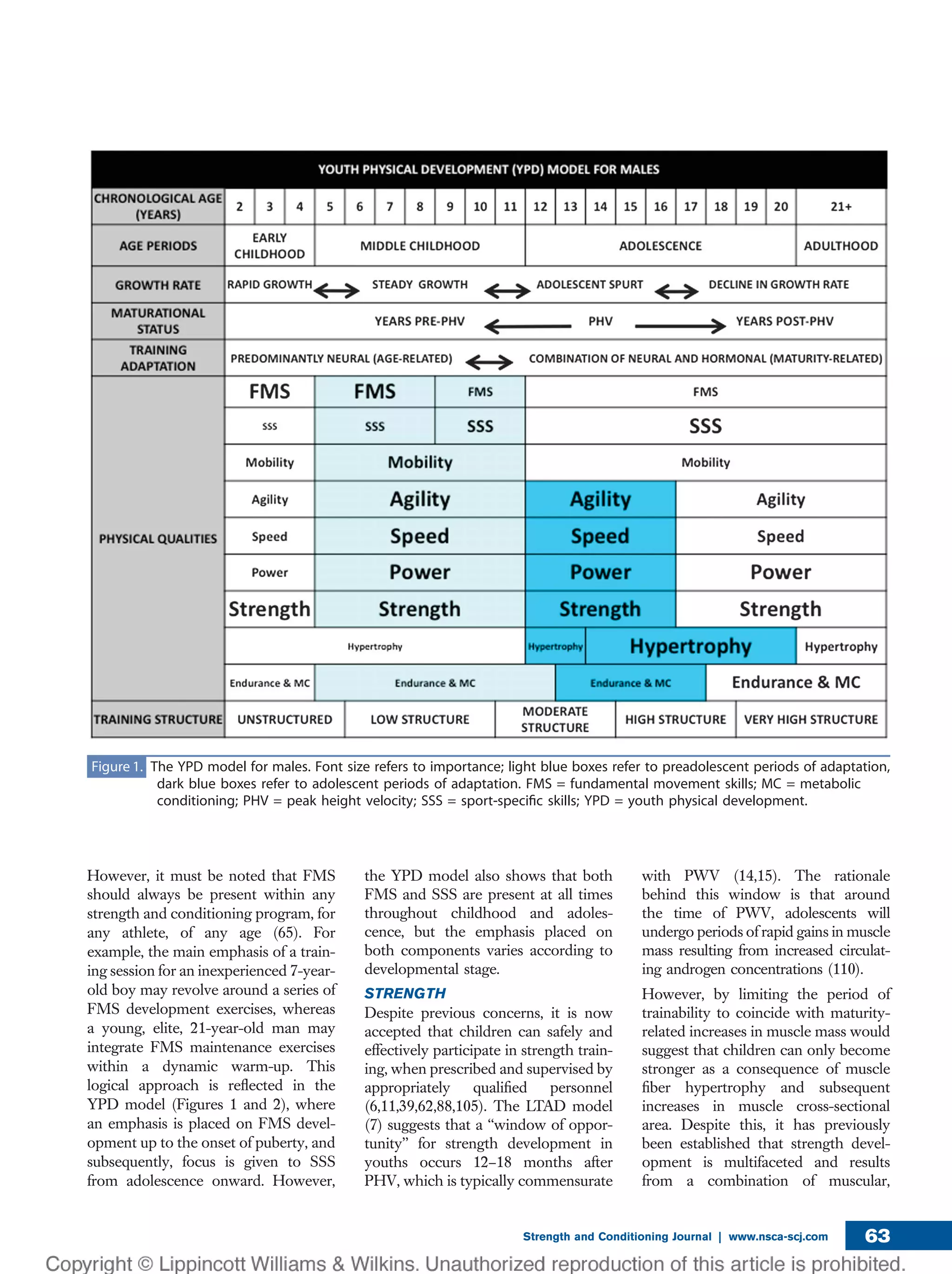 However, it must be noted that FMS
should always be present within any
strength and conditioning program, for
any athlete, of any age (65). For
example, the main emphasis of a train-
ing session for an inexperienced 7-year-
old boy may revolve around a series of
FMS development exercises, whereas
a young, elite, 21-year-old man may
integrate FMS maintenance exercises
within a dynamic warm-up. This
logical approach is reﬂected in the
YPD model (Figures 1 and 2), where
an emphasis is placed on FMS devel-
opment up to the onset of puberty, and
subsequently, focus is given to SSS
from adolescence onward. However,
the YPD model also shows that both
FMS and SSS are present at all times
throughout childhood and adoles-
cence, but the emphasis placed on
both components varies according to
developmental stage.
STRENGTH
Despite previous concerns, it is now
accepted that children can safely and
effectively participate in strength train-
ing, when prescribed and supervised by
appropriately qualiﬁed personnel
(6,11,39,62,88,105). The LTAD model
(7) suggests that a ‘‘window of oppor-
tunity’’ for strength development in
youths occurs 12–18 months after
PHV, which is typically commensurate
with PWV (14,15). The rationale
behind this window is that around
the time of PWV, adolescents will
undergo periods of rapid gains in muscle
mass resulting from increased circulat-
ing androgen concentrations (110).
However, by limiting the period of
trainability to coincide with maturity-
related increases in muscle mass would
suggest that children can only become
stronger as a consequence of muscle
ﬁber hypertrophy and subsequent
increases in muscle cross-sectional
area. Despite this, it has previously
been established that strength devel-
opment is multifaceted and results
from a combination of muscular,
Figure 1. The YPD model for males. Font size refers to importance; light blue boxes refer to preadolescent periods of adaptation,
dark blue boxes refer to adolescent periods of adaptation. FMS = fundamental movement skills; MC = metabolic
conditioning; PHV = peak height velocity; SSS = sport-speciﬁc skills; YPD = youth physical development.
Strength and Conditioning Journal | www.nsca-scj.com 63
 