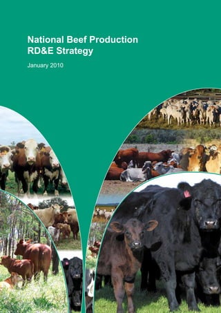 National Beef Production
RD&E Strategy
January 2010
 